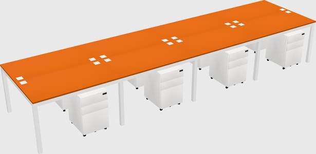 Shared Rectangular Desk