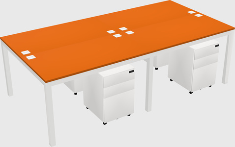 Shared Rectangular Desk