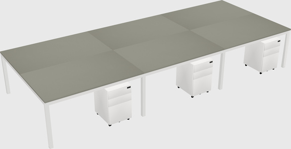 Shared Rectangular Desk