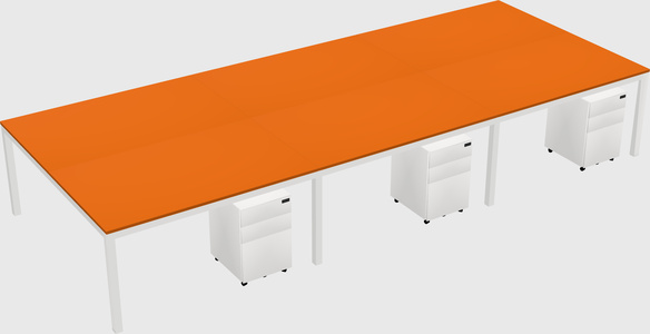 Shared Rectangular Desk
