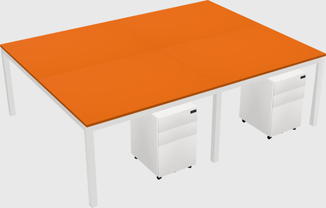 Shared Rectangular Desk