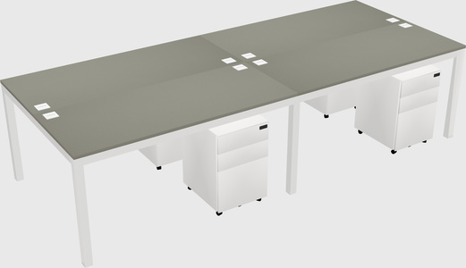 Shared Rectangular Desk