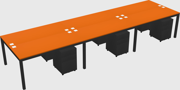 Shared Rectangular Desk
