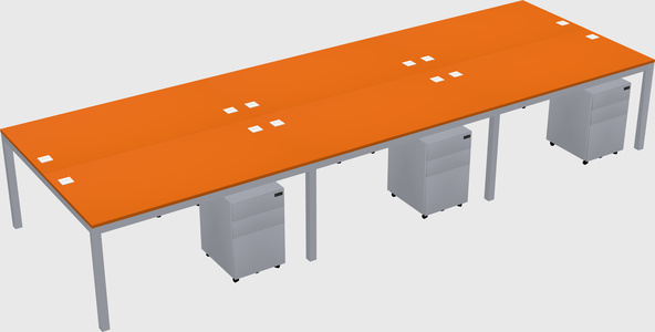 Shared Rectangular Desk