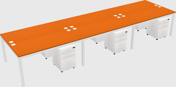 Shared Rectangular Desk
