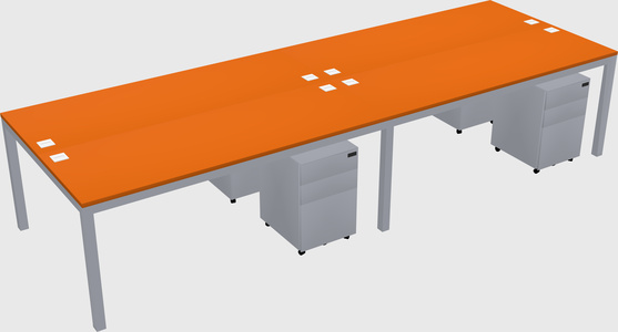 Shared Rectangular Desk