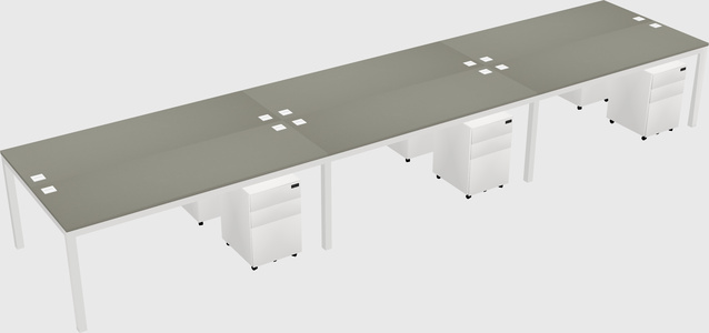 Shared Rectangular Desk
