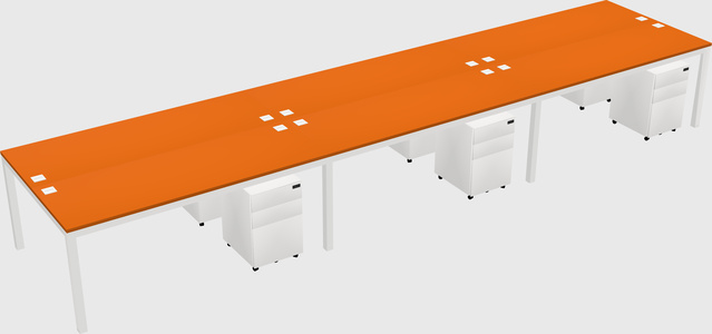 Shared Rectangular Desk
