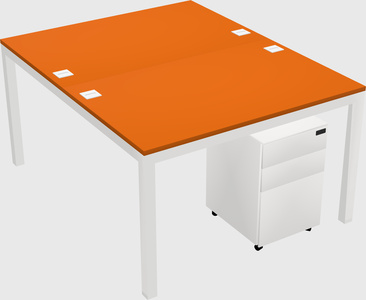 Shared Rectangular Desk