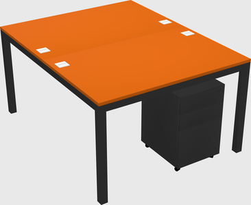 Shared Rectangular Desk