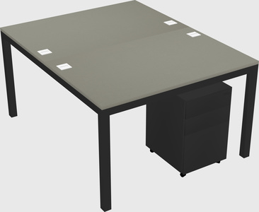 Shared Rectangular Desk
