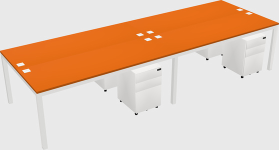 Shared Rectangular Desk