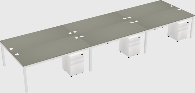 Shared Rectangular Desk