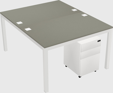 Shared Rectangular Desk