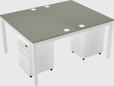 Shared rectangular desk