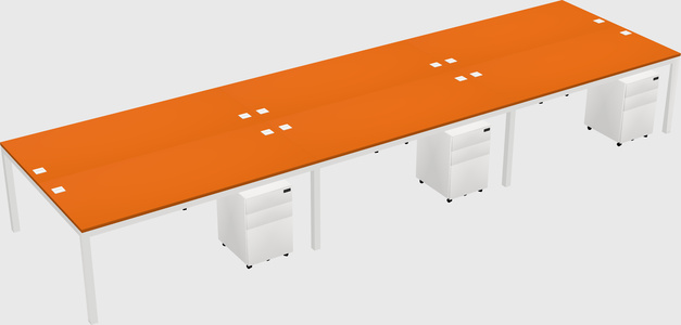Shared Rectangular Desk