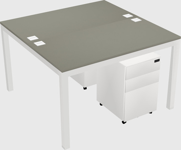 Shared Rectangular Desk