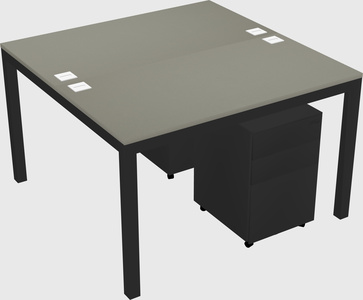 Shared Rectangular Desk