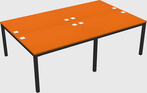 Shared Rectangular Desk