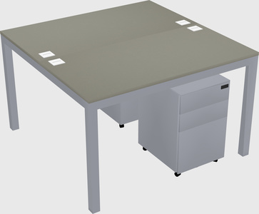 Shared Rectangular Desk