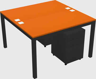 Shared Rectangular Desk