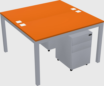Shared Rectangular Desk