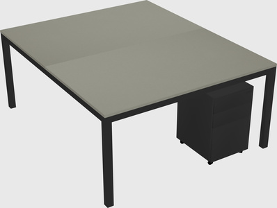 Shared Rectangular Desk