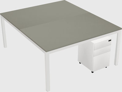 Shared Rectangular Desk