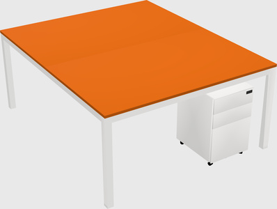Shared Rectangular Desk