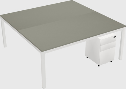 Shared Rectangular Desk