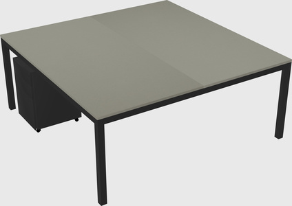 Shared rectangular desk