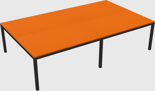 Shared Rectangular Desk