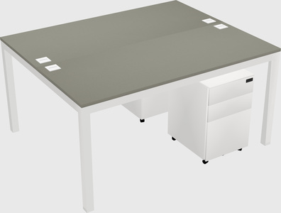 Shared Rectangular Desk