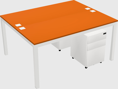 Shared Rectangular Desk