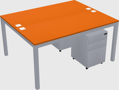 Shared Rectangular Desk
