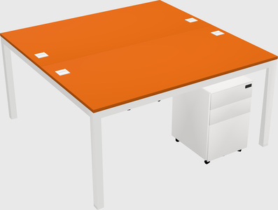 Shared Rectangular Desk