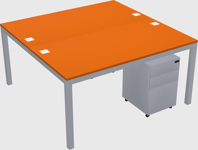 Shared Rectangular Desk