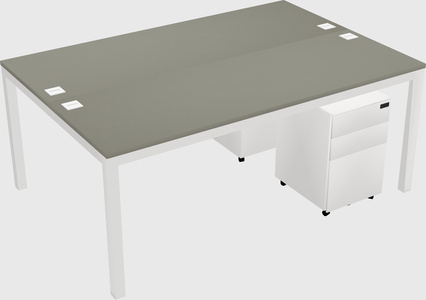 Shared Rectangular Desk