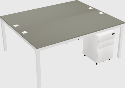 Shared Rectangular Desk