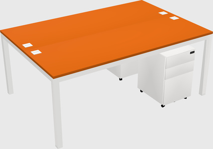 Shared Rectangular Desk