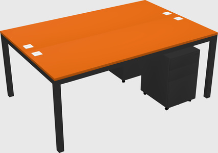 Shared Rectangular Desk