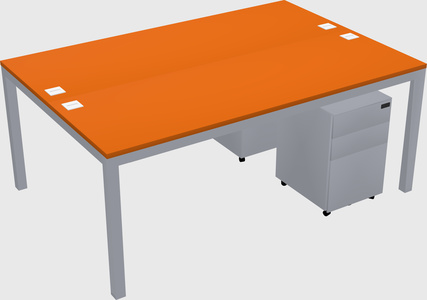 Shared Rectangular Desk