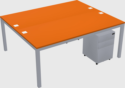 Shared Rectangular Desk