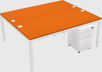 Shared Rectangular Desk