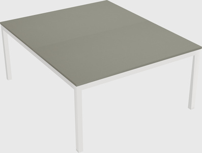 Shared rectangular desk