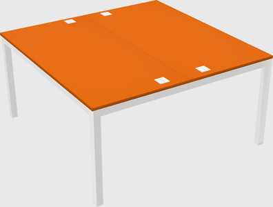 Shared rectangular desk