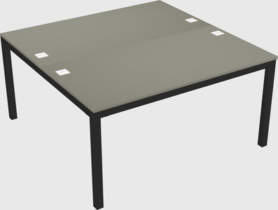 Shared rectangular desk