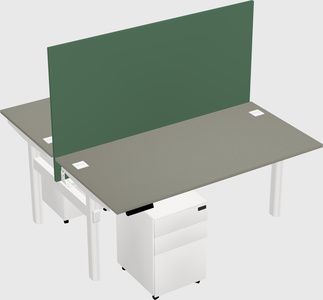 Shared electric desk