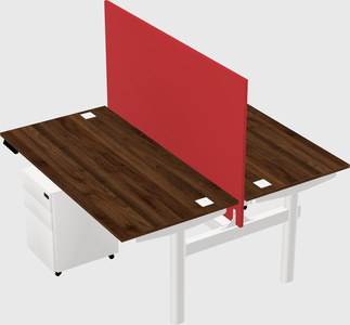 Shared electric desk