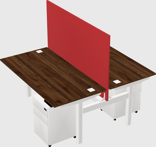 Shared electric desk